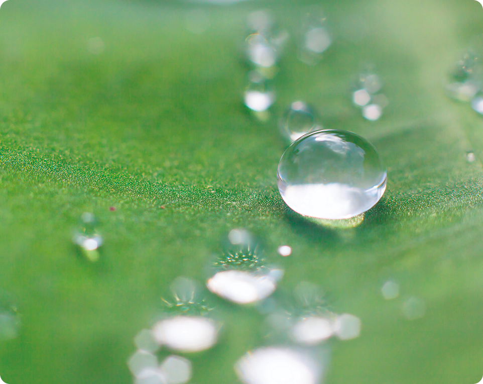 Waterkracht Waterkracht